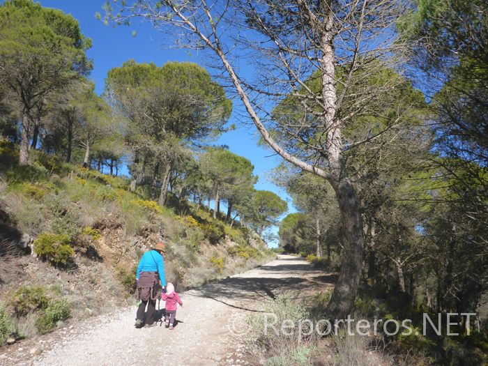 Pista antes del sendero que sube al pico Mendoza Pista antes del sendero que sube al pico Mendoza