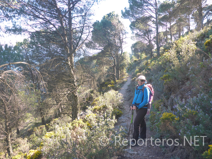 Sendero bajada a pista. Tramo de la ruta Azul Sendero bajada a pista. Tramo de la ruta Azul