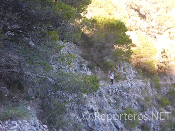 Sendero para llegar a Los Arenales Sendero para llegar a Los Arenales