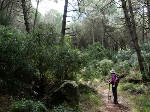 Senderismo en familia en Málaga: Camino de los Presidiarios Senderismo en familia en Málaga: Camino de los Presidiarios
