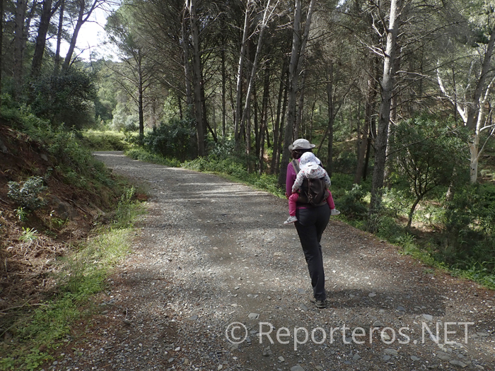 Tramo sobre pista del sendero. Foto cortesía de Jesús Navas Tramo sobre pista del sendero. Foto cortesía de Jesús Navas