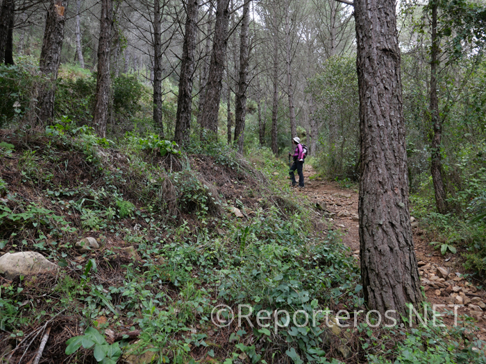 Sendero tras dejar la pista Sendero tras dejar la pista