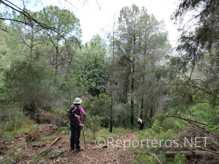 Avanzamos directamente a la cara norte de la sierra Avanzamos directamente a la cara norte de la sierra