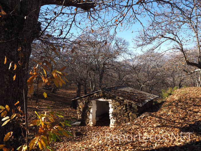 Preciosa estampa de una casa de aperos