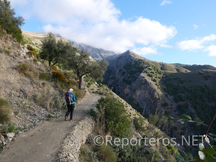 El sendero nos acerca al barranco de Almanchares El sendero nos acerca al barranco de Almanchares