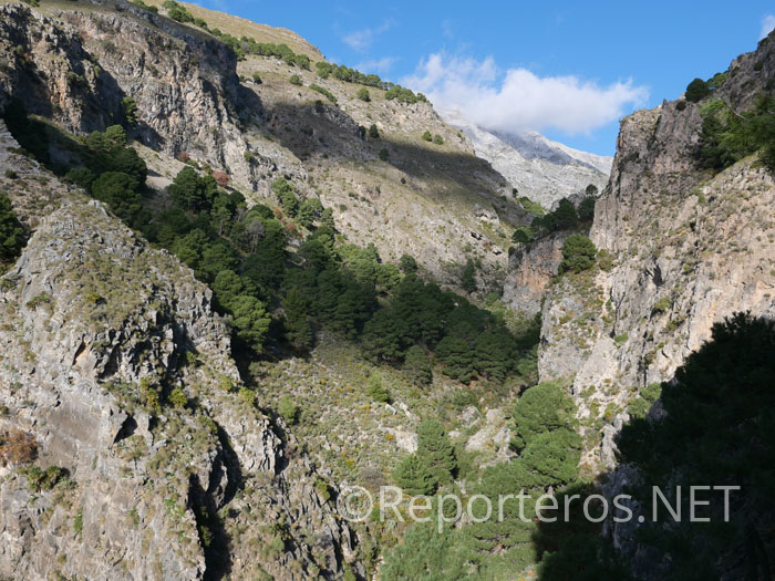 Vistas del barranco del río Almanchares Vistas del barranco del río Almanchares