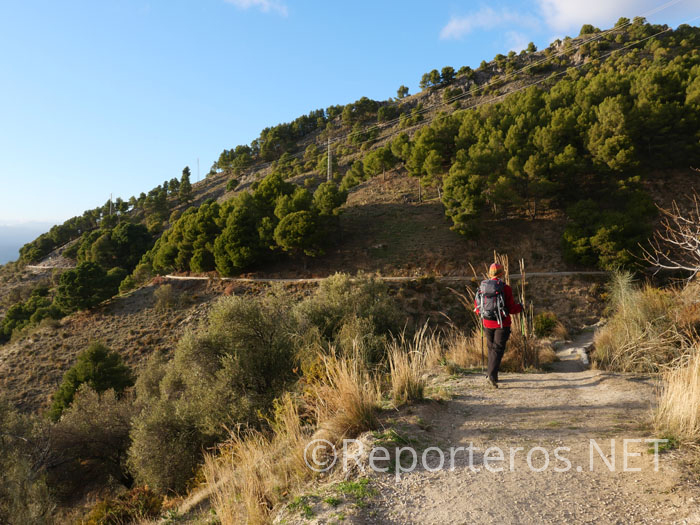 Llegando a Canillas de Aceituno Llegando a Canillas de Aceituno