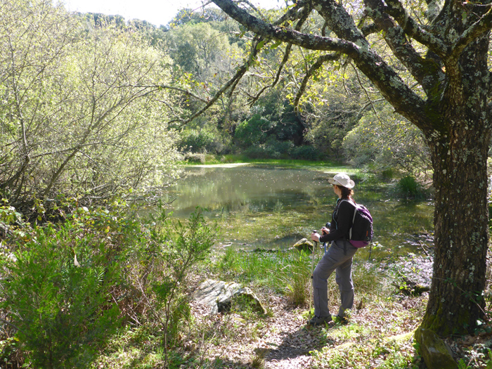 Laguna de la Greera Laguna de la Greera