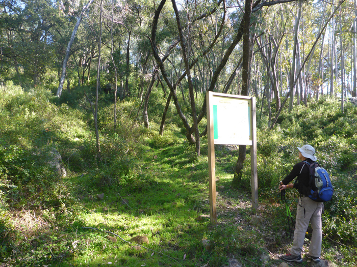Arboreto de El Colmenar Arboreto de El Colmenar