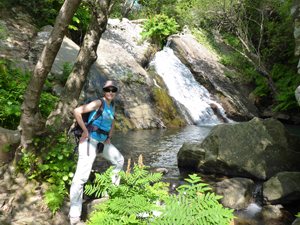Parque Natural Los Alcornocales, el bosque animado
