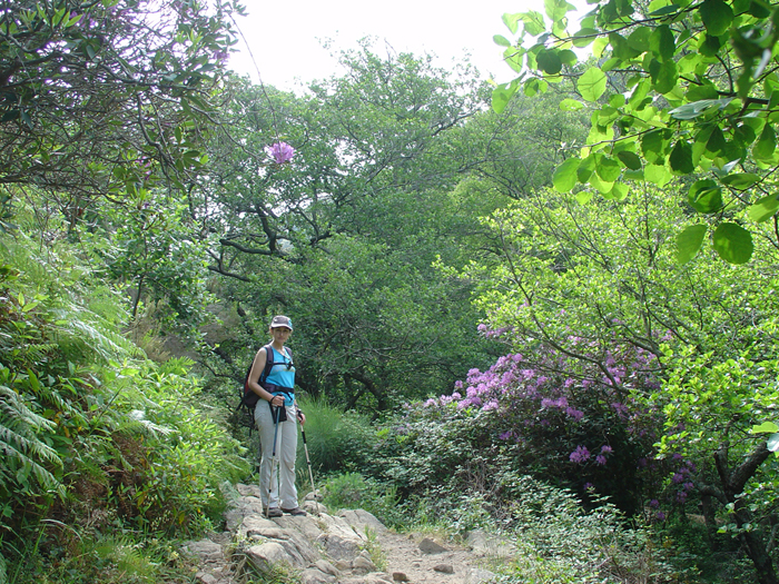 Sendero de La Sauceda Sendero de La Sauceda
