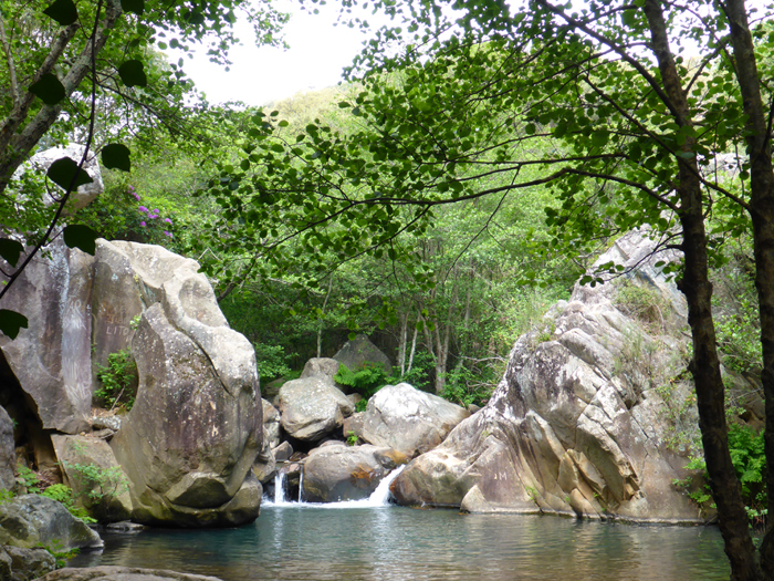 Poza en el Río de la Miel Poza en el Río de la Miel