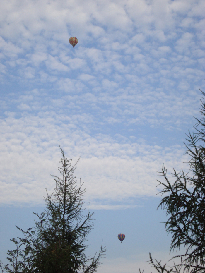 Vuelo en globo Vuelo en globo