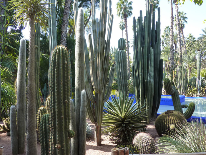 Jardines Jardines