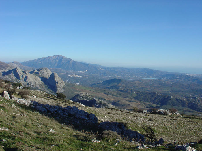 Al fondo, La Maroma, presidiendo La Axarquía Al fondo, La Maroma, presidiendo La Axarquía