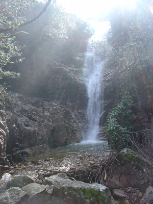 Parque Nacional de Cabañeros y Montes de Toledo, la España natural