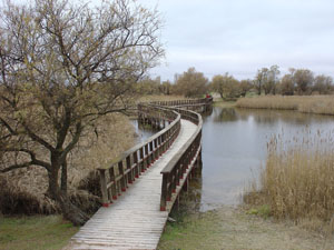 Pinceladas del Campo de Calatrava: entre humedales, minas y palacios
