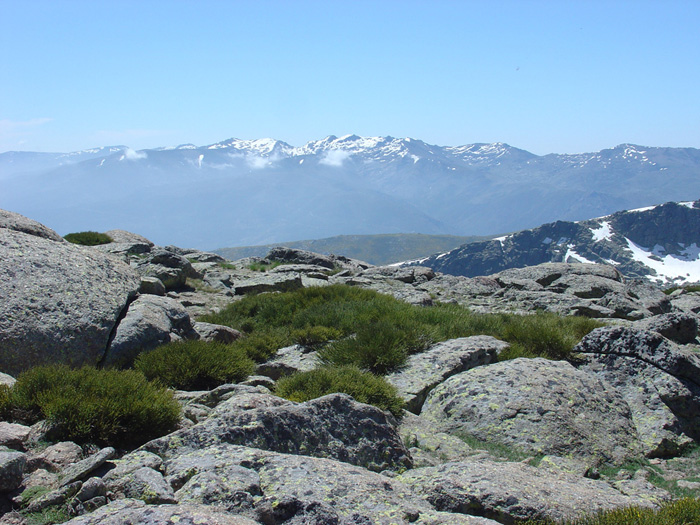 Gredos desde la Sierra de Candelario Gredos desde la Sierra de Candelario