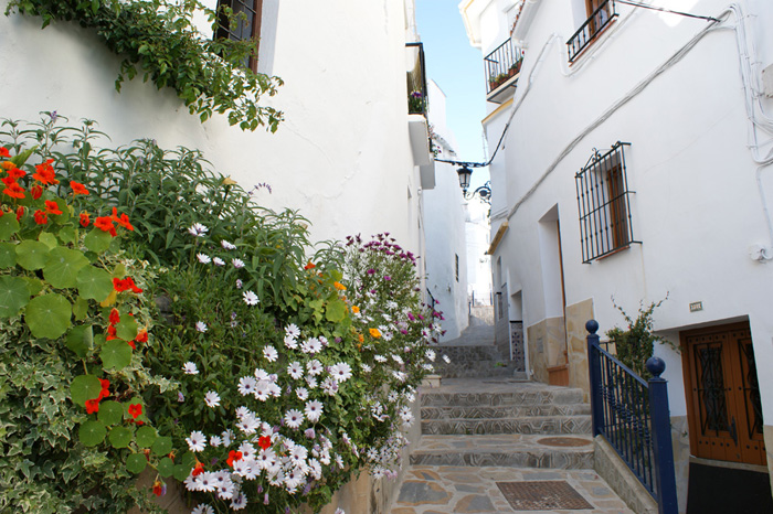 Calle con flores Calle con flores