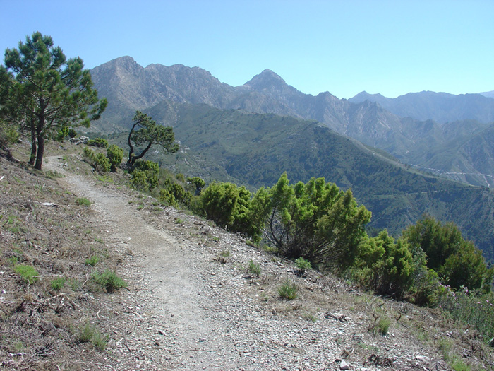 Sendero axárquico Sendero axárquico