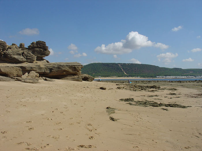 Playa de Caños de Meca con La Breña al fondo Playa de Caños de Meca con La Breña al fondo
