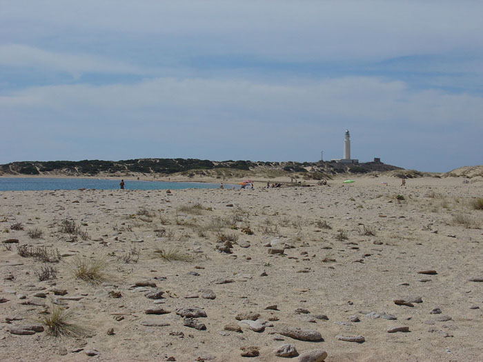 Faro de Trafalgar, desde la playa de Caños Faro de Trafalgar, desde la playa de Caños