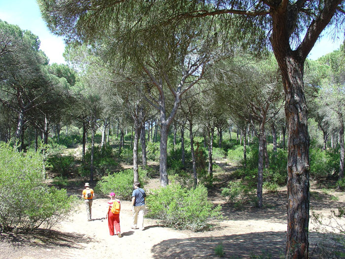 Senderismo por el Parque Natural de La Breña Senderismo por el Parque Natural de La Breña