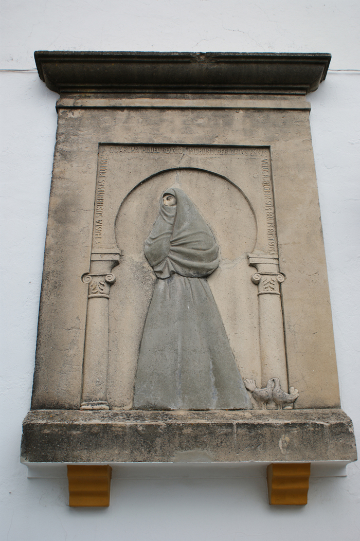 Representación de la cobijá Representación de la cobijá