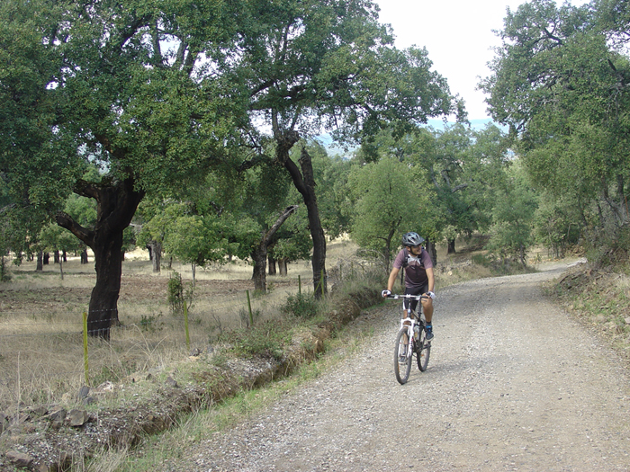 Caminos mejores y peores, de todo para el viajero Caminos mejores y peores, de todo para el viajero