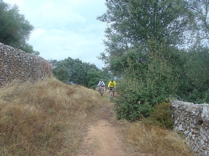 Camino con muretes de piedra Camino con muretes de piedra