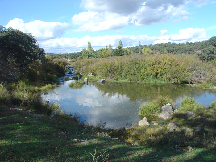 Rivera del Cala Rivera del Cala