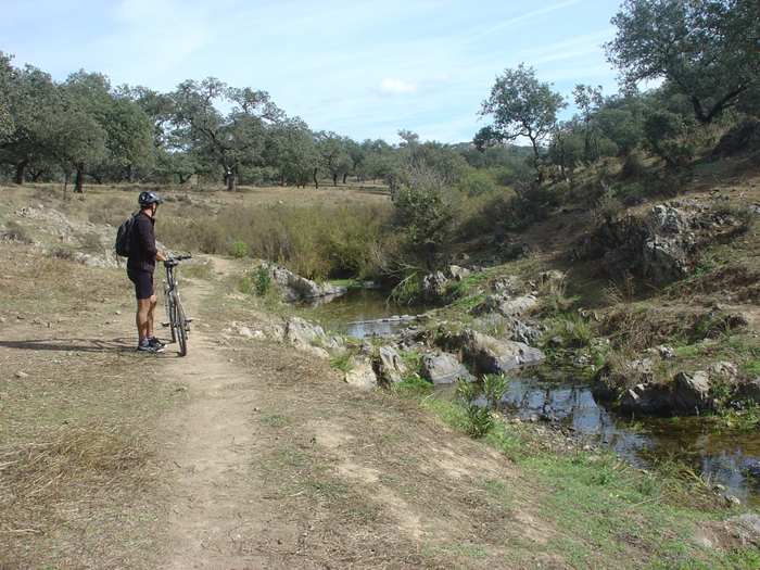 Arroyo en el sendero Arroyo en el sendero
