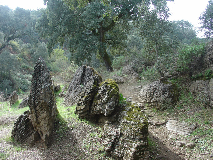 Formaciones rocosas en el sendero Formaciones rocosas en el sendero