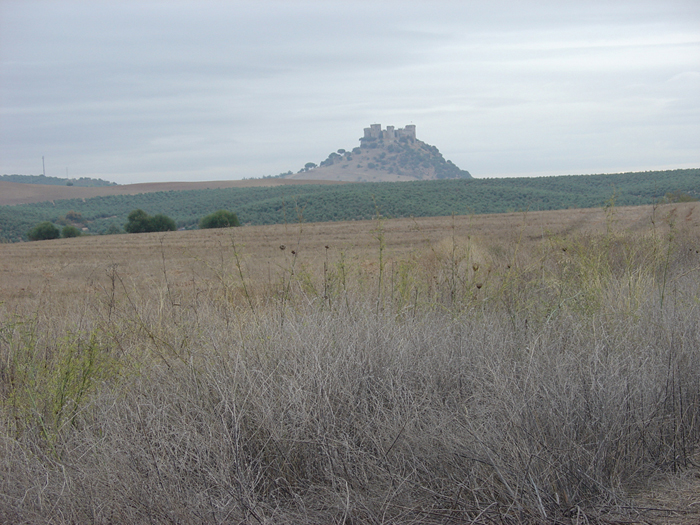 Camino hacia el Castillo de Almodóvar Camino hacia el Castillo de Almodóvar