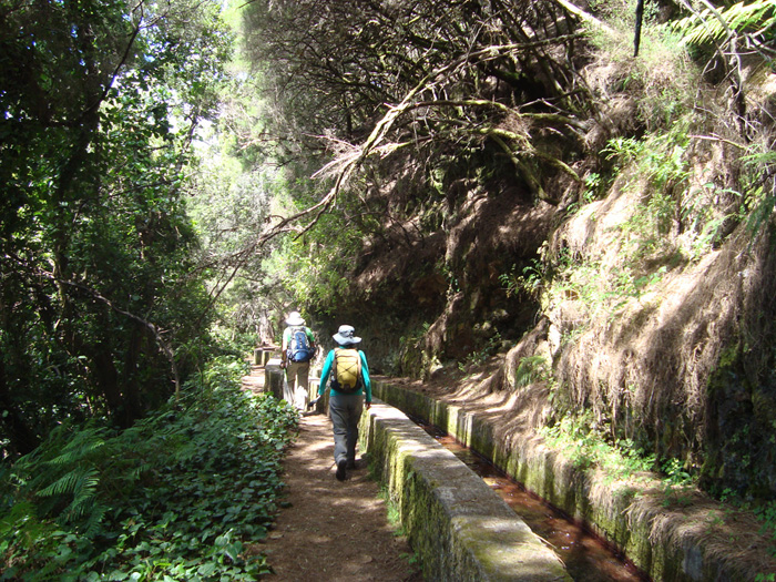Sendero paralelo a la acequia Sendero paralelo a la acequia