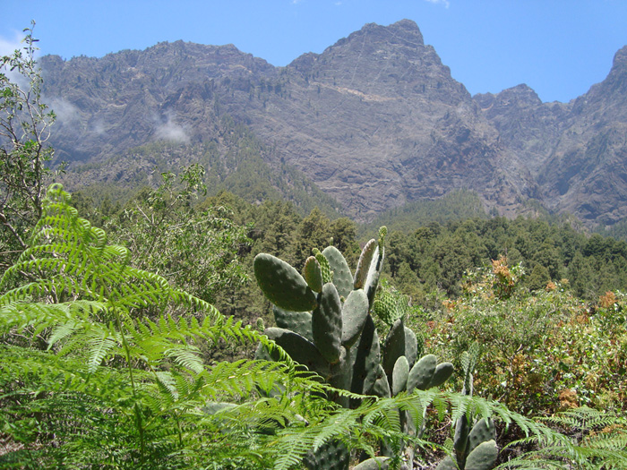 Interior de la Caldera de Taburiente Interior de la Caldera de Taburiente