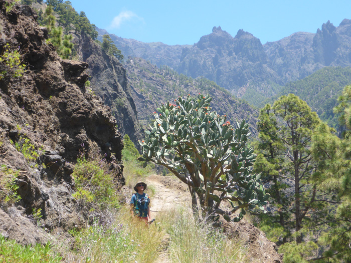 Caminando por el interior de la caldera Caminando por el interior de la caldera