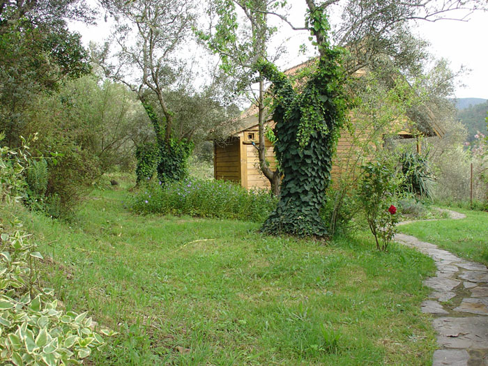 Entorno de la cabaña donde nos alojamos Entorno de la cabaña donde nos alojamos