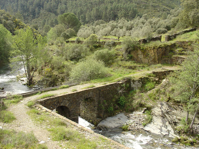 Puente a la salida de Las Mestas Puente a la salida de Las Mestas