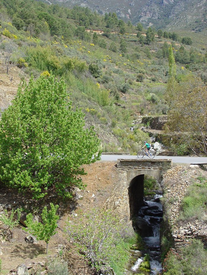 Carretera hacia Riomalo de Arriba Carretera hacia Riomalo de Arriba
