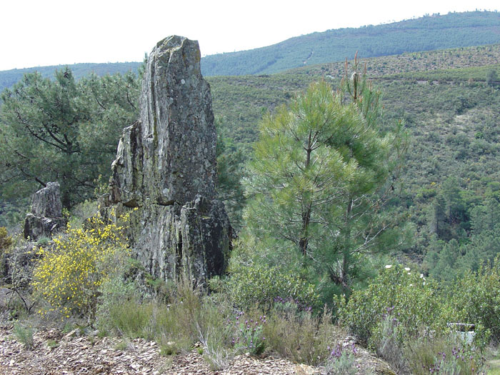 Curiosa roca en el camino Curiosa roca en el camino