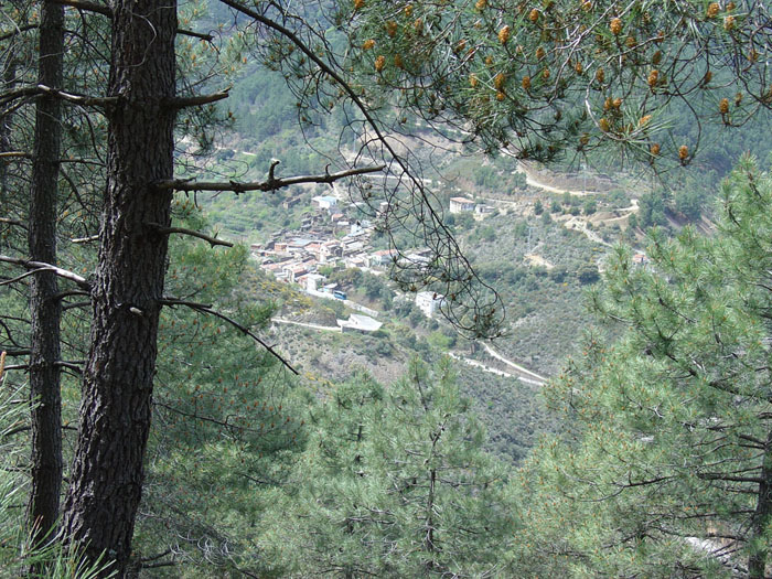 Sierra que separa Cáceres de Salamanca Sierra que separa Cáceres de Salamanca