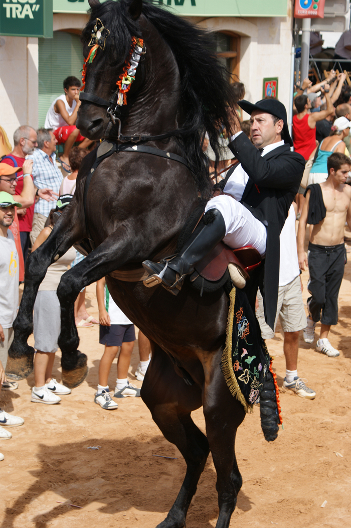 Jinete haciendo un salto en las Fiestas de San Luis Jinete haciendo un salto en las Fiestas de San Luis