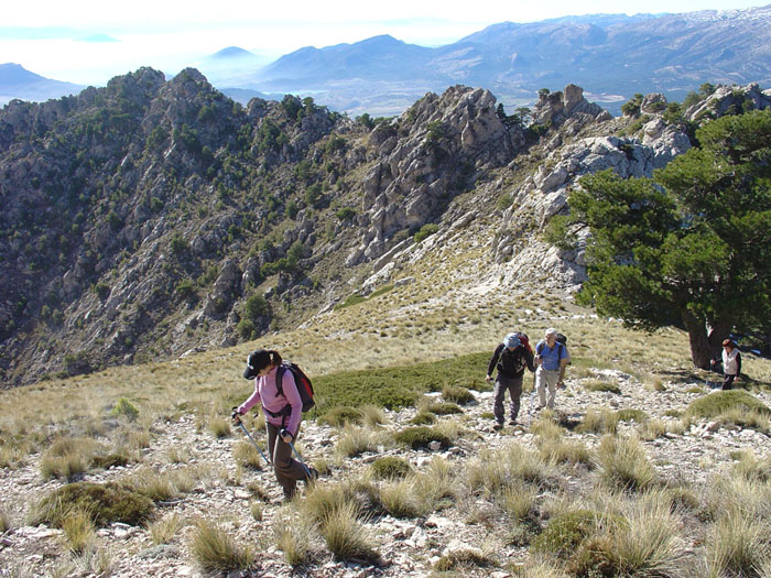 Ascendiendo a La Sagra Ascendiendo a La Sagra