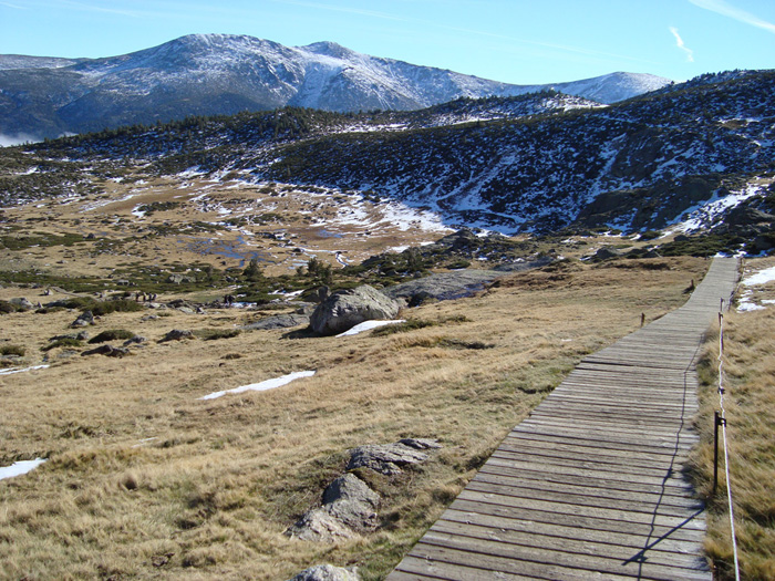 Pasarela de madera cerca de la Laguna Grande Pasarela de madera cerca de la Laguna Grande