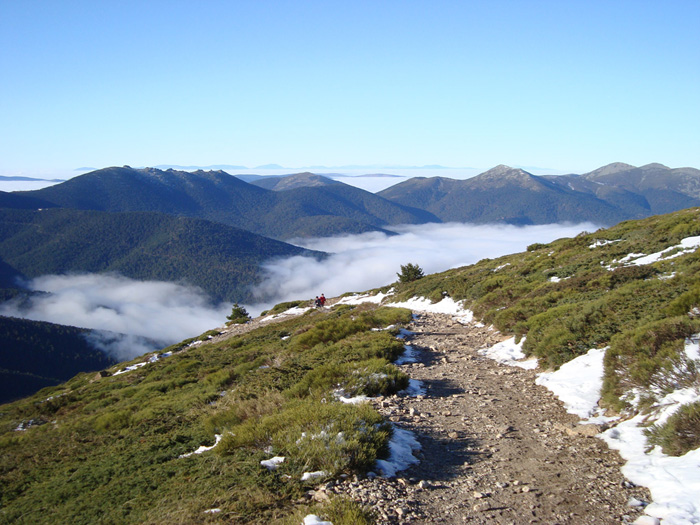 Mar de nubes desde la pista forestal Mar de nubes desde la pista forestal