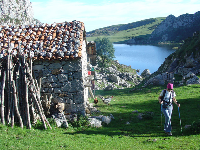 Sendero en los Lagos de Covadonga Sendero en los Lagos de Covadonga
