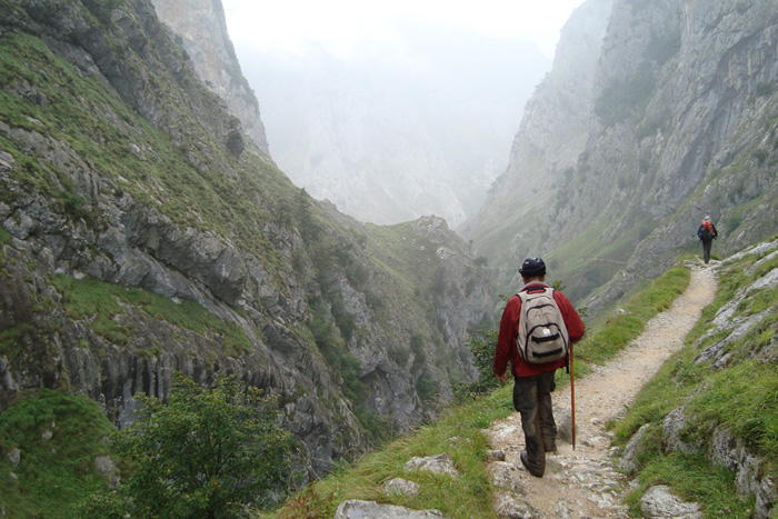 El sendero está muy definido El sendero está muy definido