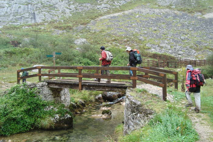 Pequeño puente sobre el arroyo Pequeño puente sobre el arroyo