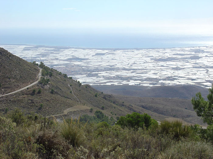 Mar de plástico desde la Sierra Mar de plástico desde la Sierra